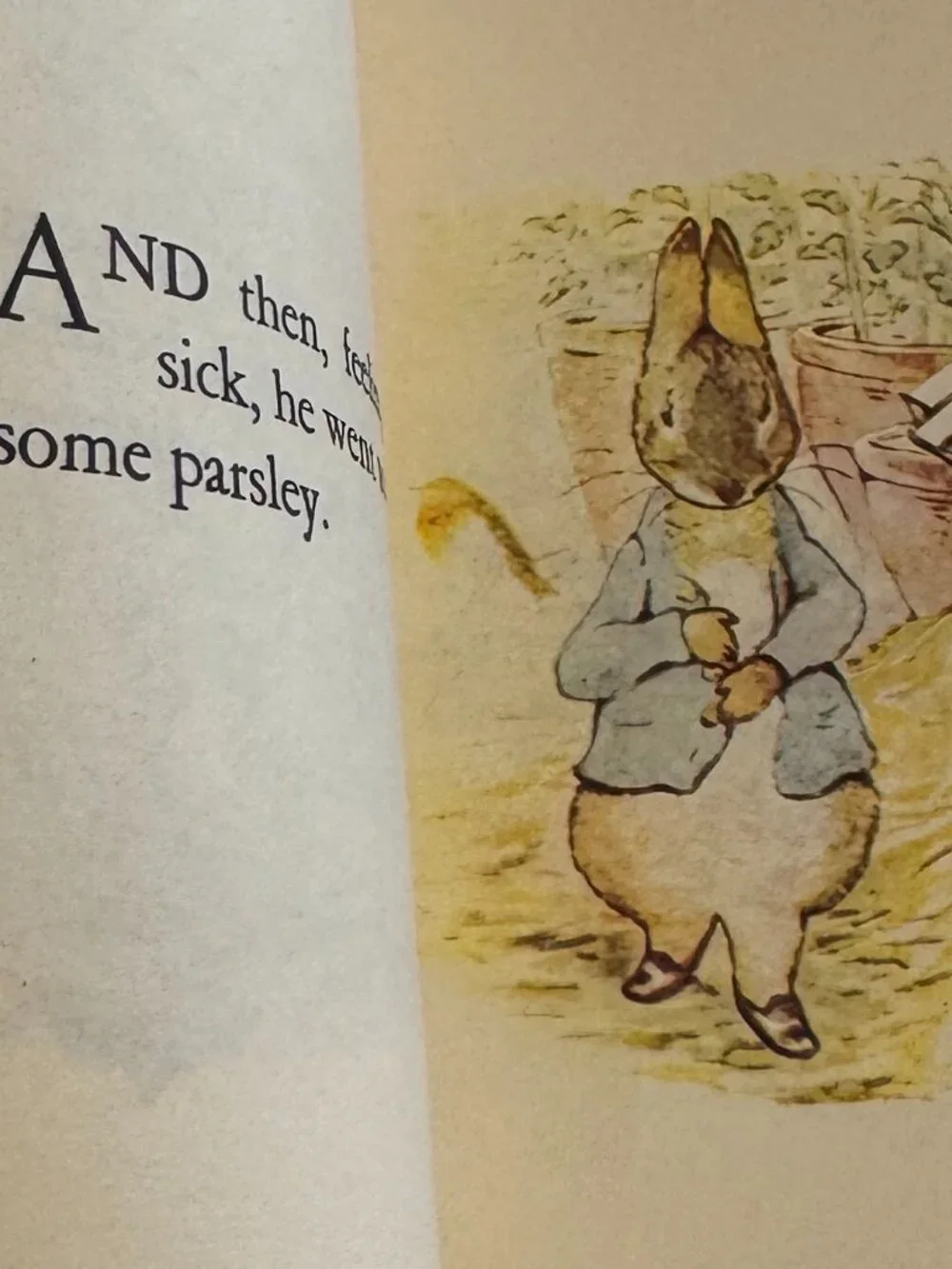 Beatrix Potter The Tale of Peter Rabbit Hardcover Dust Jacket Avenel Books 1988